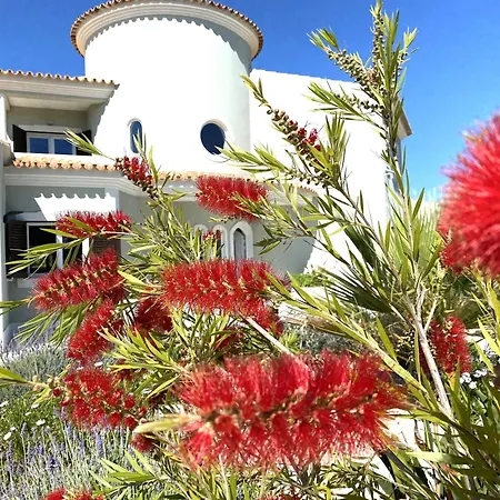 Grande Lorida * Albufeira