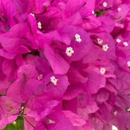 别墅 Grande Lorida 阿尔布费拉