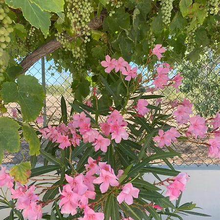 Grande Lorida Villa Albufeira