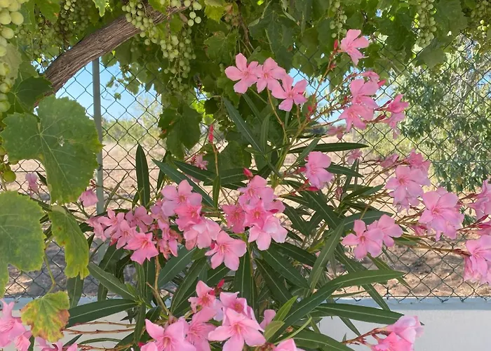 Grande Lorida Willa Albufeira